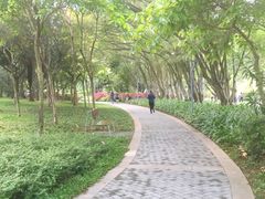 -福田红树林生态公园