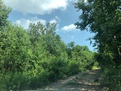 -塞罕坝国家级自然保护区