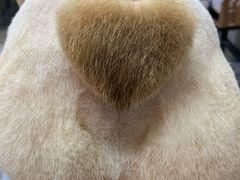 -PETKIT小佩宠物(古北店)