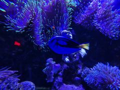 -太平洋海底世界