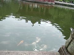 -小杨生煎(金山百联购物中心3楼店)