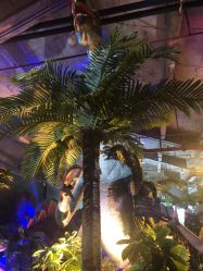 -恐龙探索乐园(磁器口店)