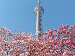 -东方明珠广播电视塔