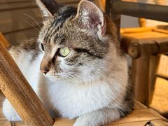 -铜瓢江湖兔火锅(水碾河社区店)