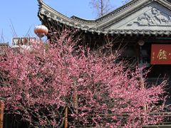 -老门东历史文化街区