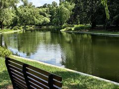 -上海共青森林公园