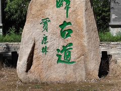 -阳台山自然风景区