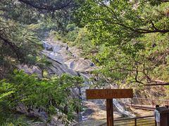-九龙池景区