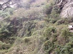 -抱龙峪