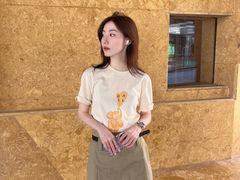-岭南站NOVA
