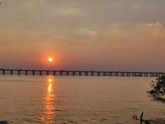 -宝安西湾红树林湿地公园