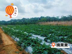-尚果生态采摘园