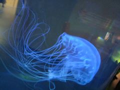 -常州海昌海洋探索馆