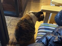 -天地無用GAME BAR