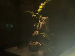 -泰之源足浴会所(玉环店)