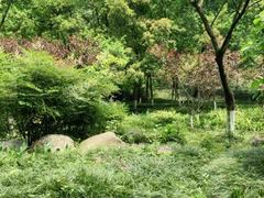 -重庆彩云湖湿地公园