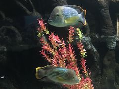 -苏州海洋馆