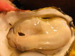 -土蚝·高压锅生蚝(百姓美食街店)