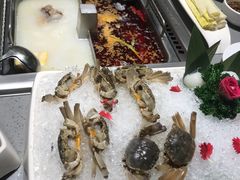 -海底捞火锅(海宁路店)