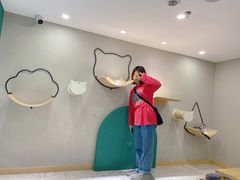 -飞行喵MR PILOT|猫舍·猫咖(静安大融城店)