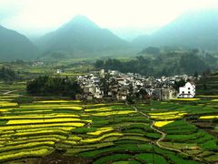 -灵山景区梯田