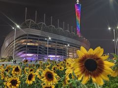 -广州塔