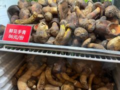 -太婆天府山珍酒楼(亚运村店)