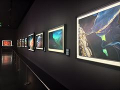 -罗红摄影艺术馆