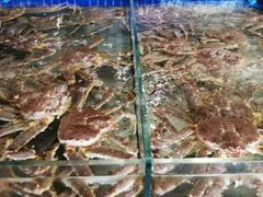 -浩运·海鲜青岛菜·海胆水饺(石老人店)