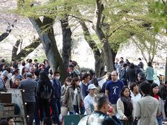 -井之头恩赐公园