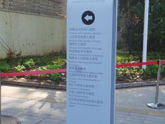 -三里屯东五街银杏大道