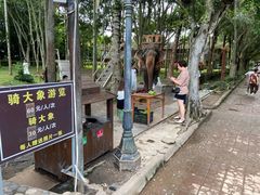 -西双版纳傣族园