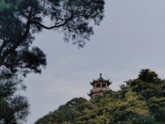 -梧桐山风景名胜区