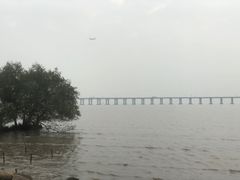 -宝安西湾红树林湿地公园