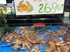 -船歌·鱼水饺青岛菜(闽江二路店)