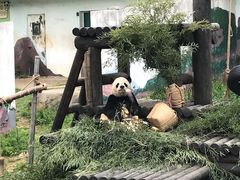 -无锡动物园·太湖欢乐园