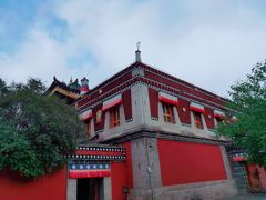-塔尔寺游客服务中心