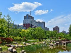 -莲花池公园