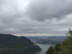 -铁山坪森林公园