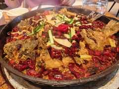 -老板恋上鱼(恒隆广场店)