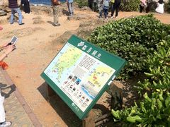 -鹅銮鼻公园
