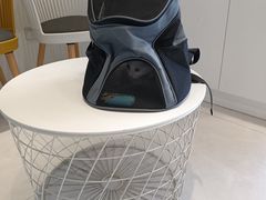 -关爱宠物医院·猫科中心·消化科(滨湖万达分院)