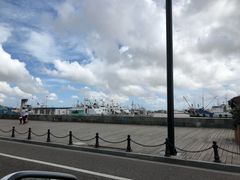 -沈家门渔港