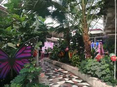 -红栌温泉山庄生态美食餐厅