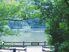 -吴淞炮台湾湿地森林公园烧烤区