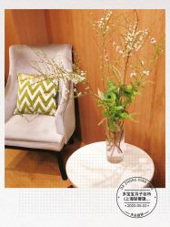 -海豚湾高端月子会所(黄浦店)