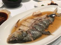 陈年花雕蒸鲥鱼-福1088