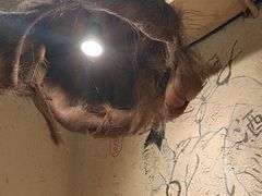 -泥糊破店小酒馆·团建聚餐(南京西路店)