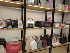 -COACH蔻驰(顺城购物中心店)