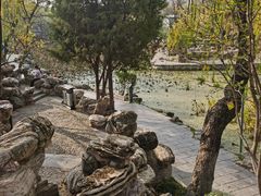 -莲湖公园